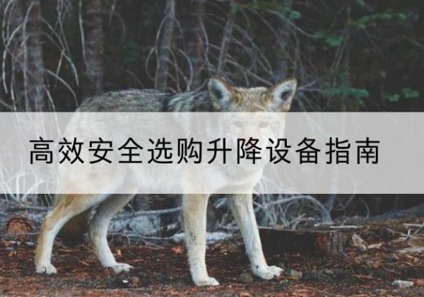 蓬江升降货梯厂家推荐-*安全选购升降设备指南