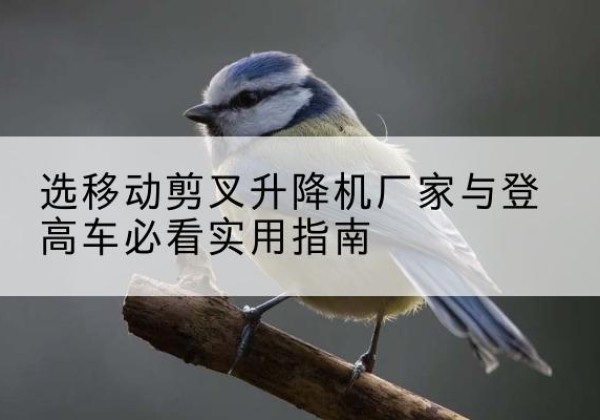 蓬江电动升降机厂家-选移动剪叉升降机厂家与登高车必看实用指南