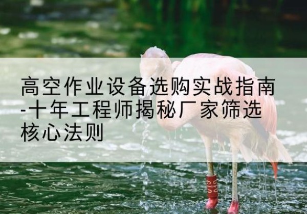 蓬江剪叉式升降机厂家-高空作业设备选购实战指南-十年工程师揭秘厂家筛选核心法则